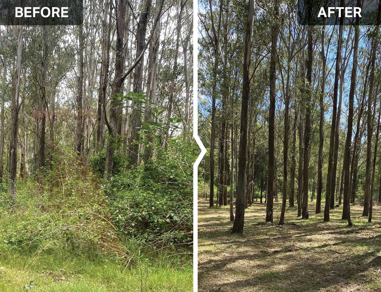 SKID STEER OPEN FRONT SLASHER