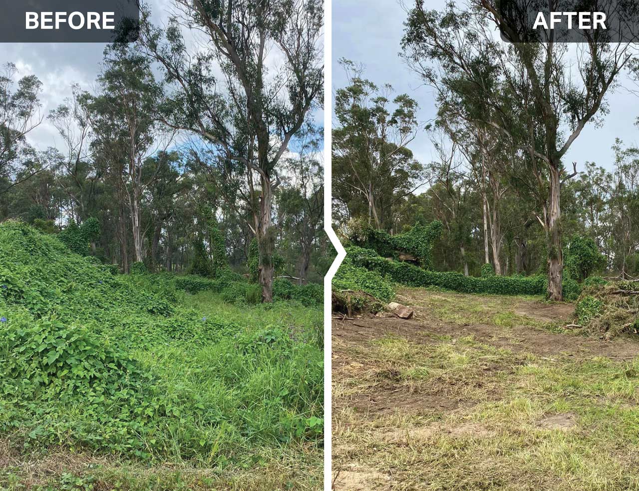 SKID STEER OPEN FRONT SLASHER