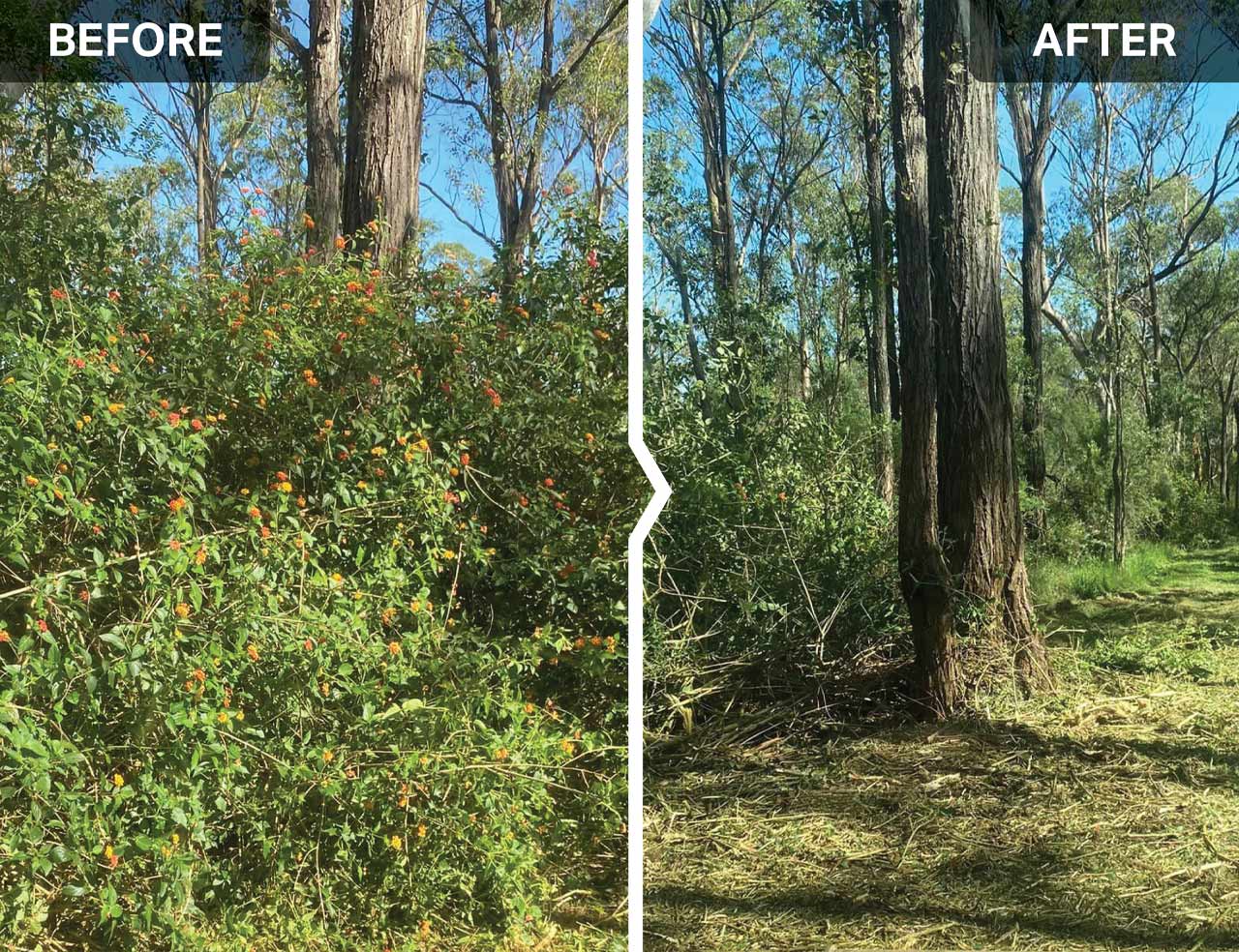 SKID STEER OPEN FRONT SLASHER