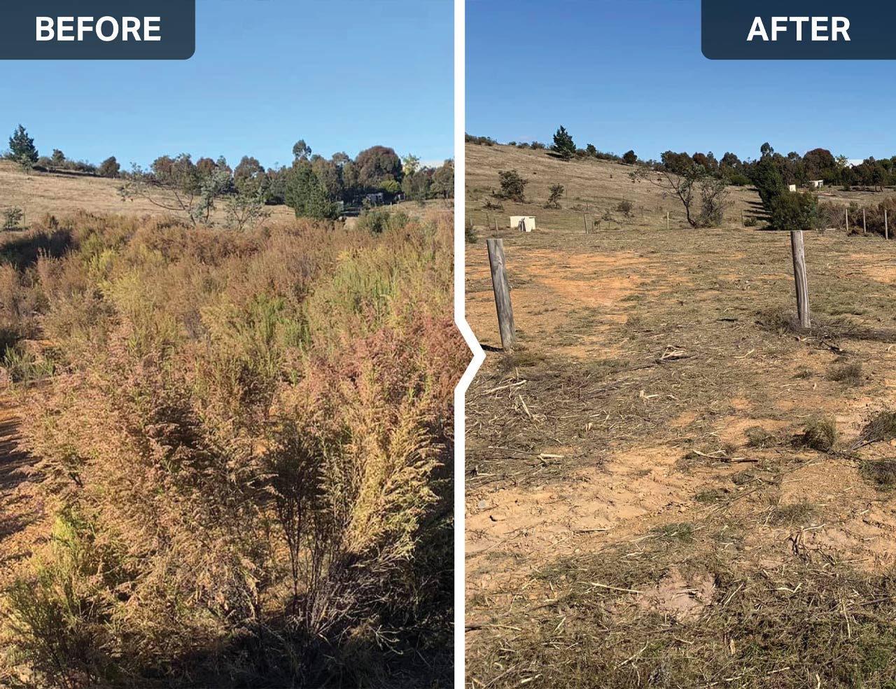 SKID STEER OPEN FRONT SLASHER